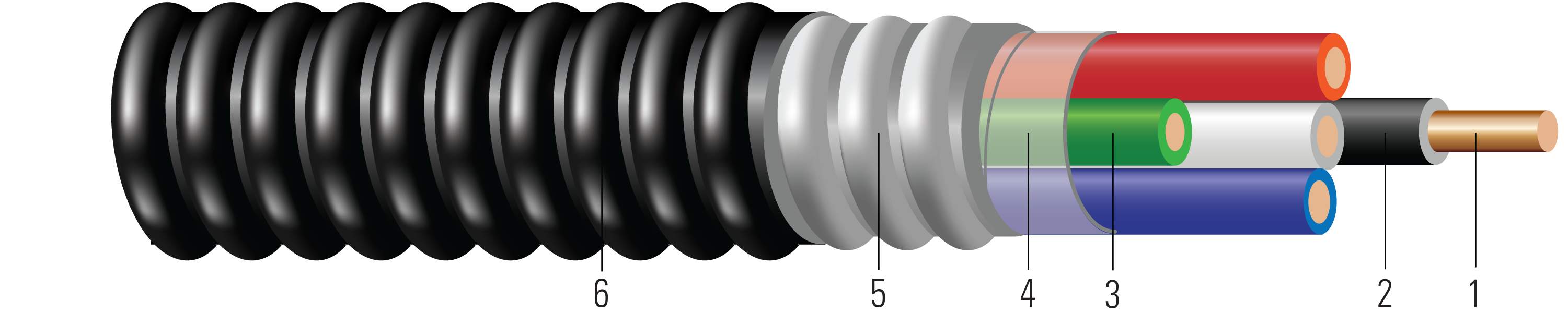 61005001