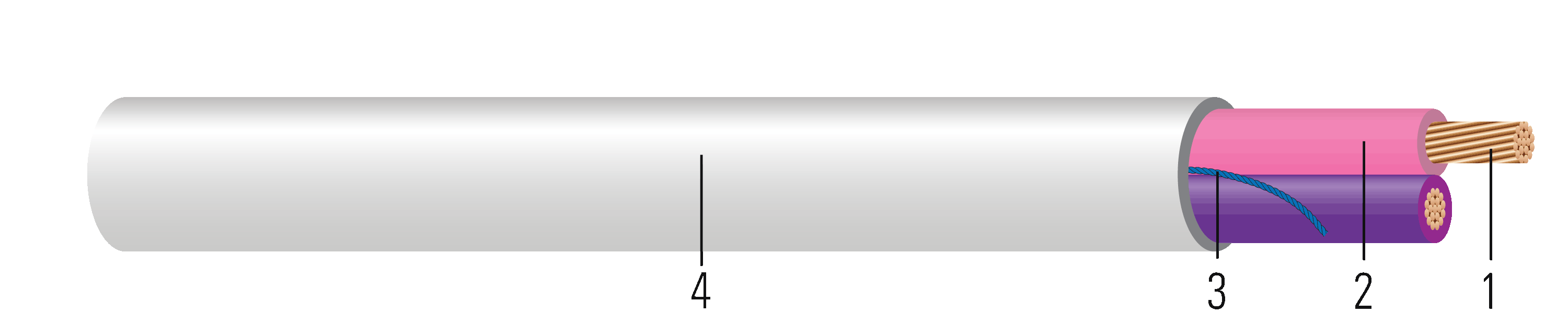 P516411B