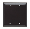 SP23 - Plate Plastic 2G Blank W/Out Line - Legrand-Pass & Seymour